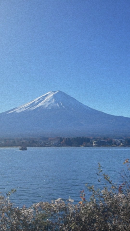 💫跟著婉婷旅遊趣🌏
