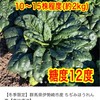 靴磨きの農業&人生相談所❨株も可❩