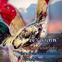 เพชรบดินทร์ ฟาร์ม🙏🐔🐲🐓สังกัด บ้านภักดี โชคอัศวินไก่ชน