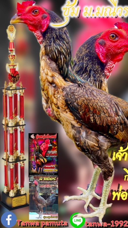 ซุ้ม มณีวรรณ ฟาร์ม