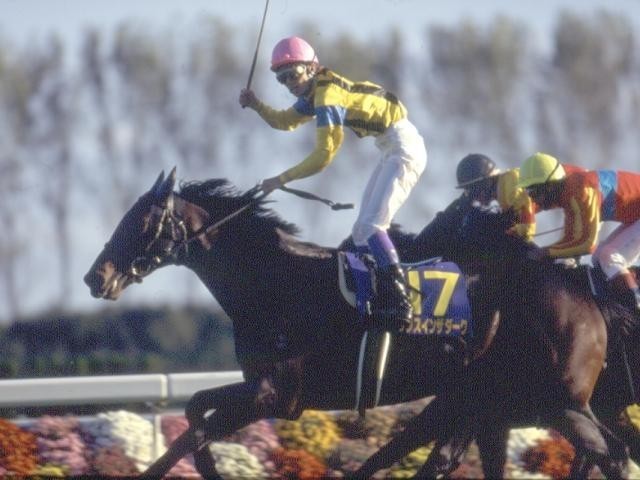 1996年の菊花賞馬ダンスインザダークが死亡、27歳 種牡馬としても