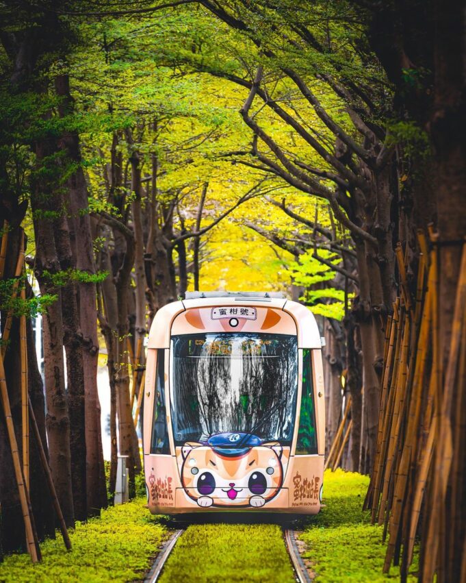 高雄戶外景點、高雄山區景點、高雄約會景點、高雄散步景點