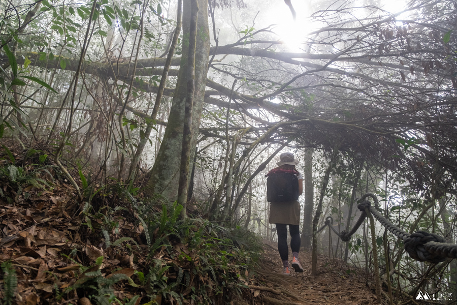 山女孩MelissaxMao冒險生活_水社大山_日月潭登山_路線分享-15.JPG