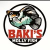 MOLLY FISH(CHAT DATA)