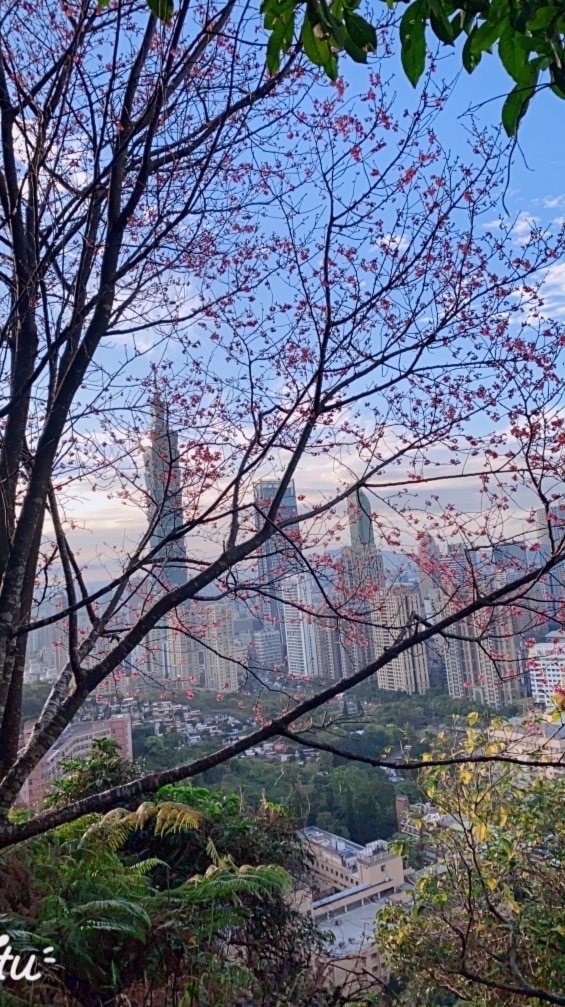 慢聊時光🍀靜心之所