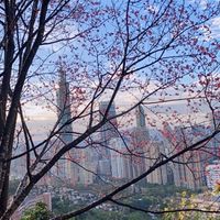 慢聊時光🍀靜心之所