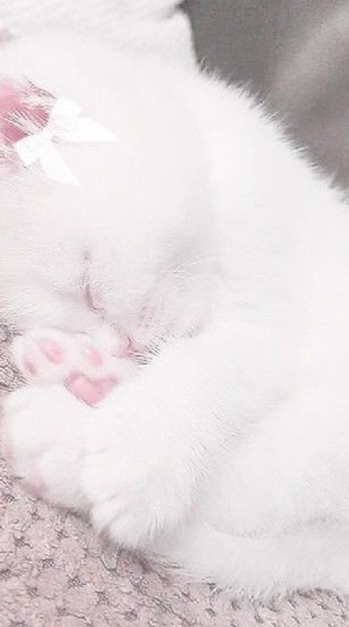 ♬ྀི ปั้มไลค์/ฟอล by.ฟ่าง♡🌸🌷꒱ྀི১