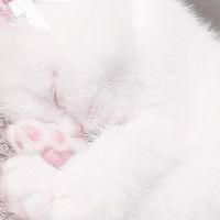 ♬ྀི ปั้มไลค์/ฟอล by.ฟ่าง♡🌸🌷꒱ྀི১