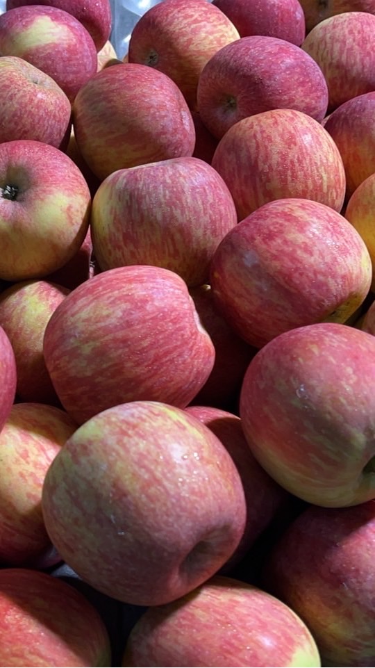 嘉玲水果🍎零售/團購/禮盒/雙北外送