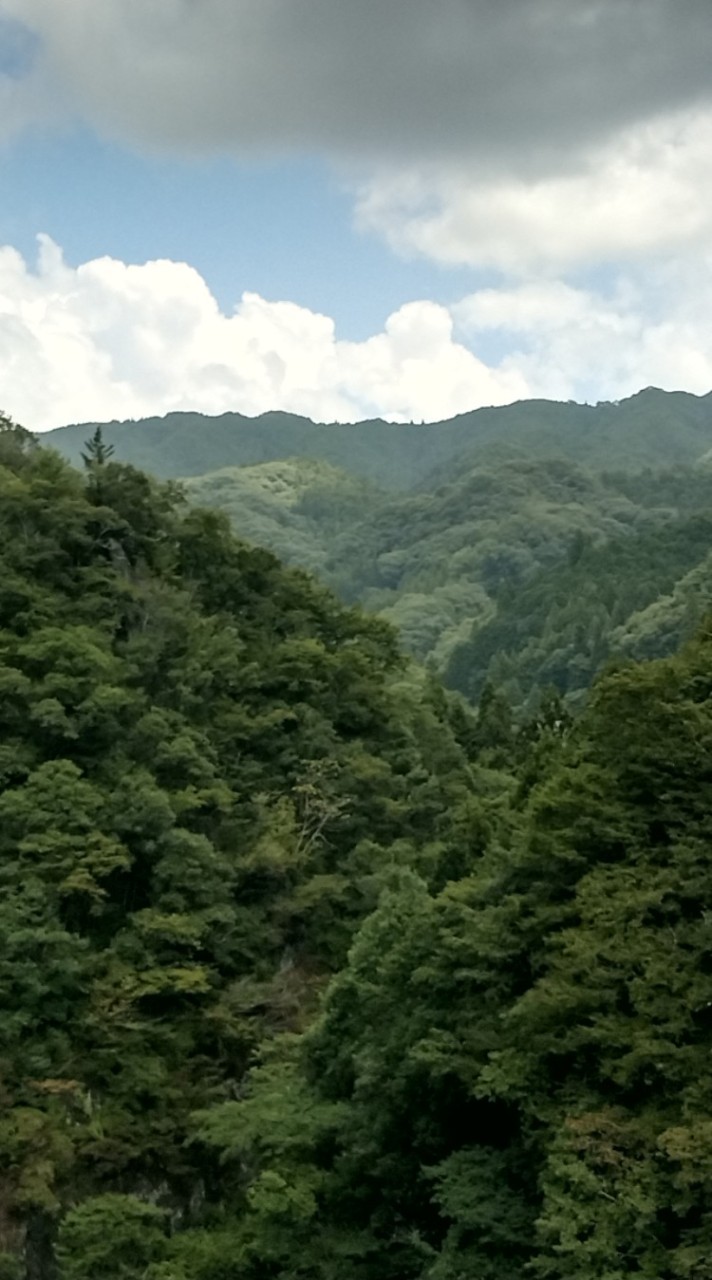 小学生で歌い手グループ作ろ！