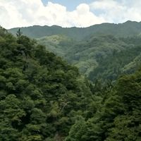小学生で歌い手グループ作ろ！