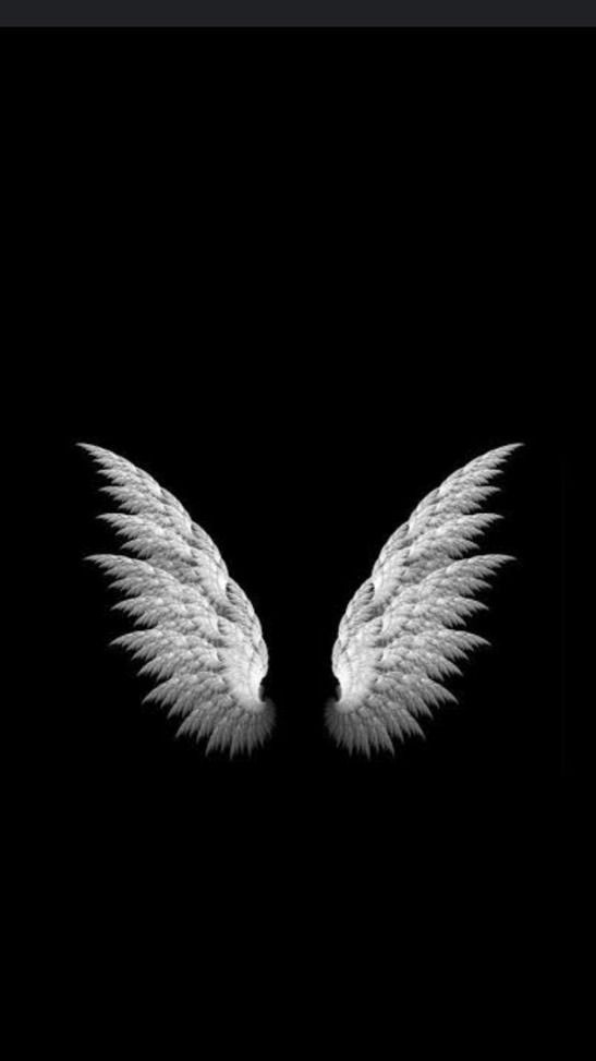 ·̩͙꒰ঌAngel໒꒱🪶ℝ𝕠𝕠𝕞 ㅤ