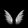 ·̩͙꒰ঌAngel໒꒱🪶ℝ𝕠𝕠𝕞 ㅤ