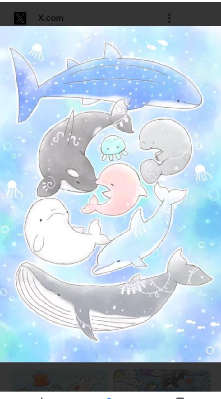 みいるか好き集まれっ〜！ 🐬𓈒 𓏸𓈒𓂂𓈒 𓂃