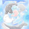 みいるか好き集まれっ〜！ 🐬𓈒 𓏸𓈒𓂂𓈒 𓂃