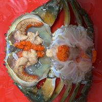 活體批發