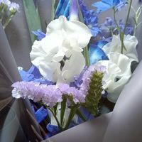 膵臓嚢胞、腫瘍、慢性膵炎の人の部屋