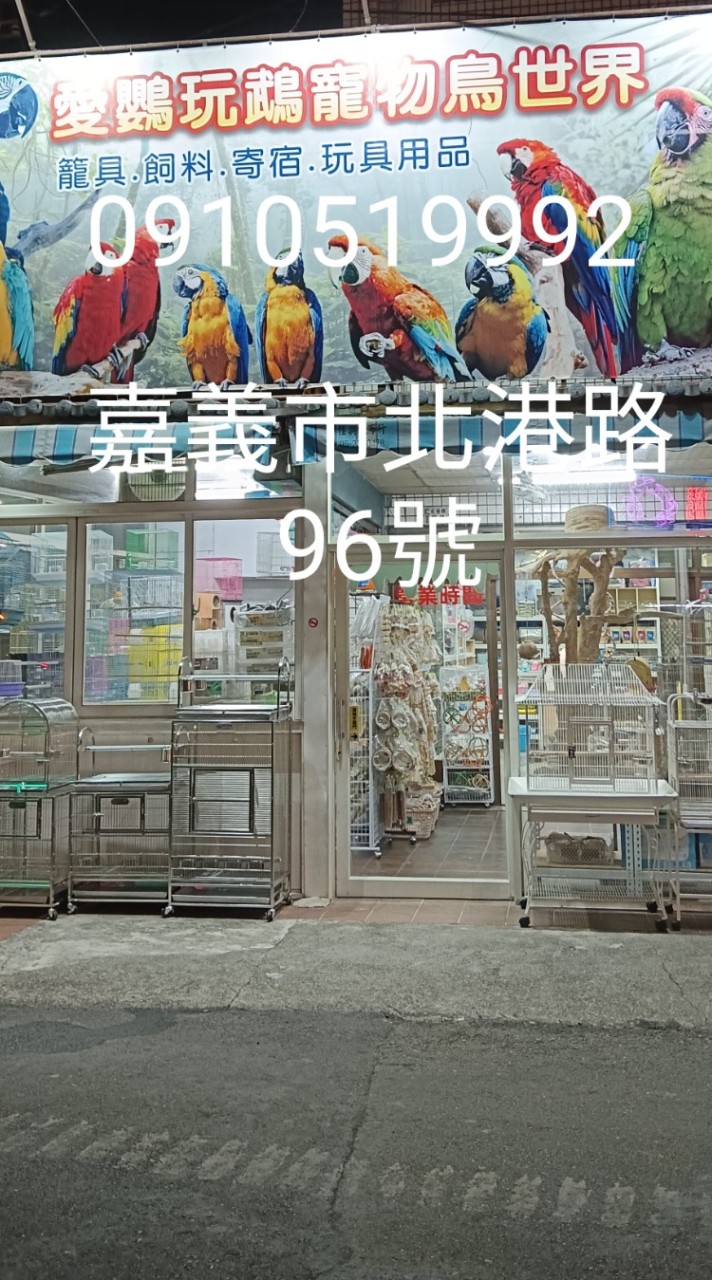 愛鸚玩鵡寵物鳥世界