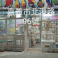 愛鸚玩鵡寵物鳥世界
