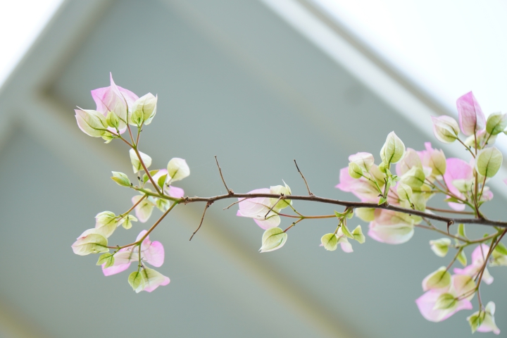 攝錄輕旗艦 Sony A6400 隨身相機動手玩
