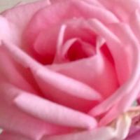 💫🌈６０代〜７０代のカラオケ🎤＆ライブトーク💝の部屋🌈💫