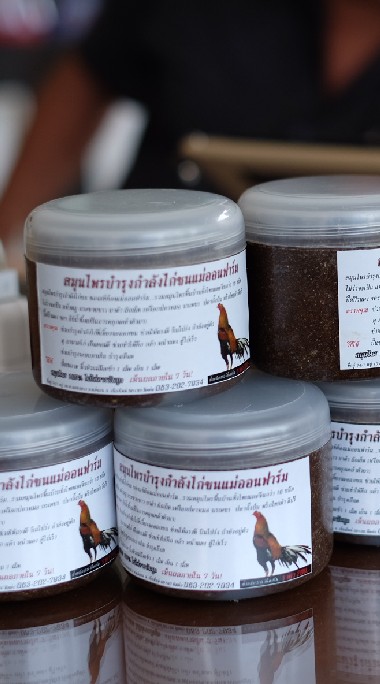 ไก่ชนแม่ออนฟาร์ม