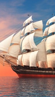 散戶領航艦隊🏆6⃣️