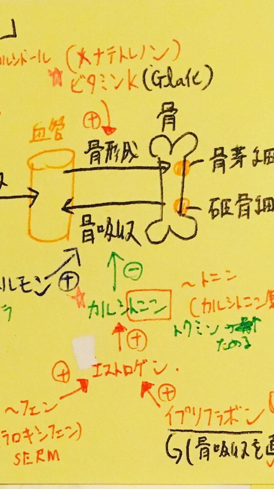 【問題質問】薬剤師国試、勉強質問部屋のオープンチャット