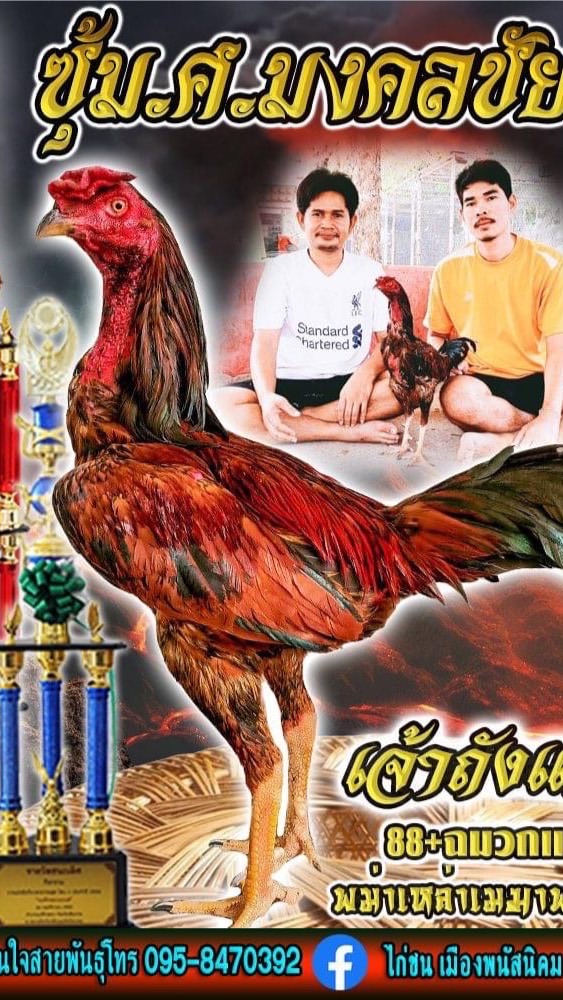 ซุ้มไก่ชนเมืองพนัสนิคม