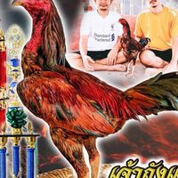 ซุ้มไก่ชนเมืองพนัสนิคม