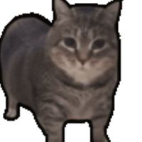 607班群