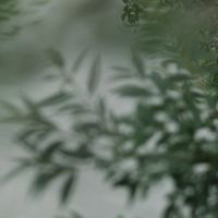 仙女揪團大家17走