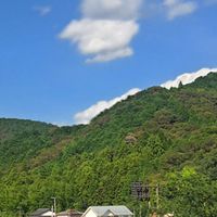 114-2 諮商理論與技術II