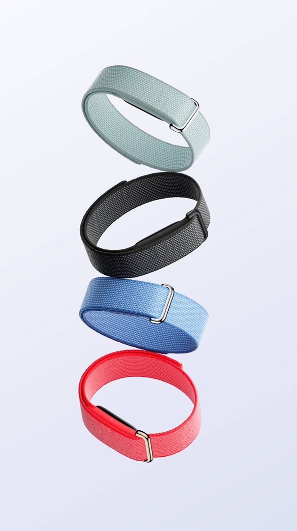 Google Fitbit Air Thailand  (พูดคุย)