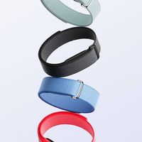Google Fitbit Air Thailand  (พูดคุย)