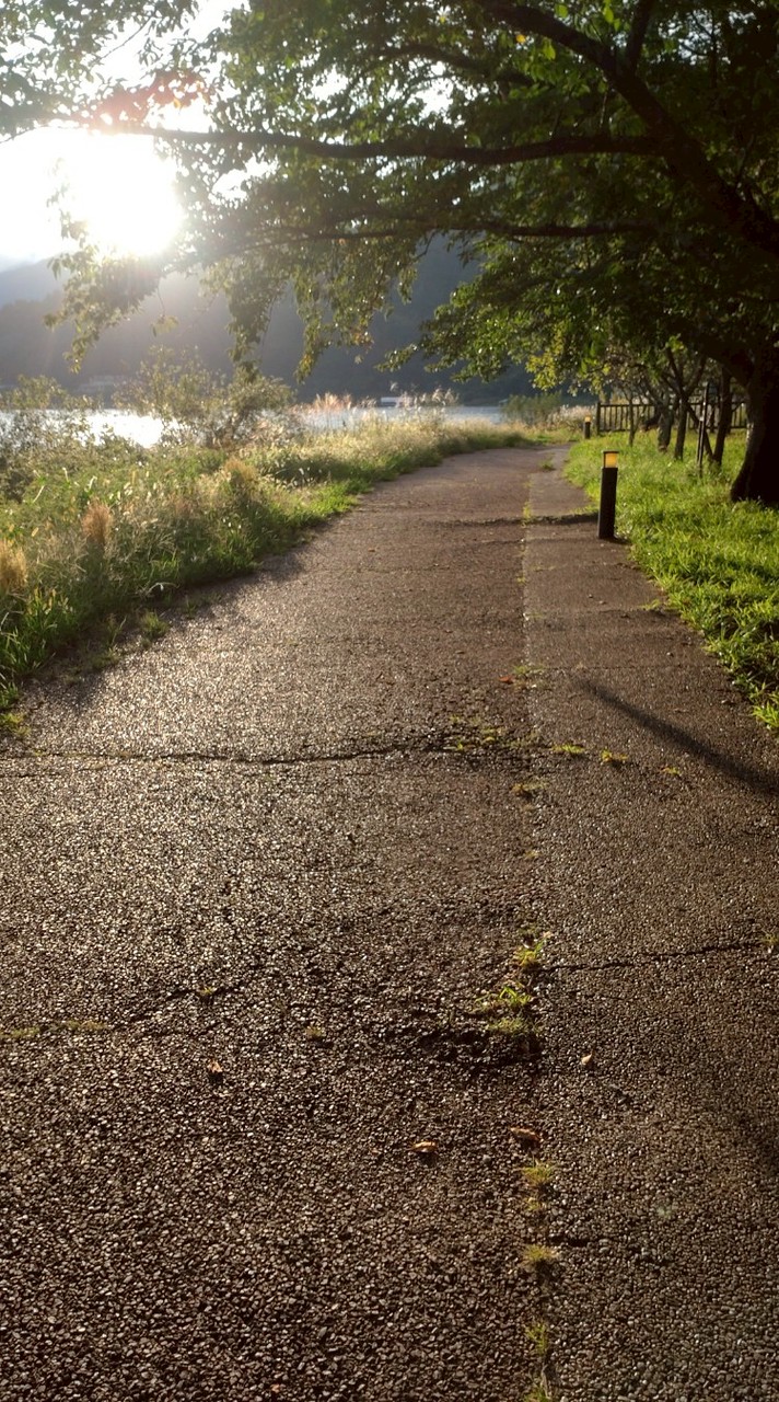 子宮頸がん談義しましょ^ ^