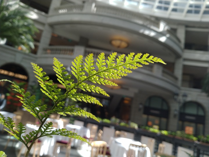 ASUS ZenFone Max Pro（M1） 開箱動手玩，5,000mAh 超大電量