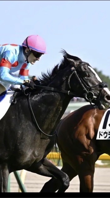 競馬楽しくやりましょ