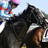 競馬楽しくやりましょ