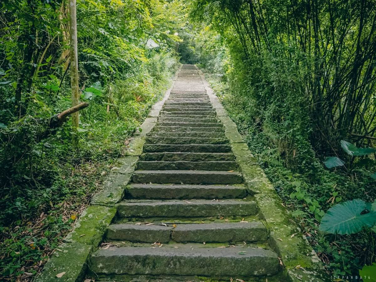 新北人放空首選！五股區６處私房景點：農場內「瀑布祕境」、森林磨石子滑梯