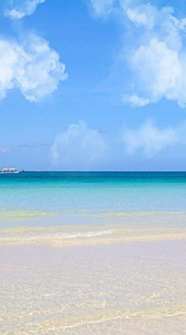 單親遛小孩出遊團