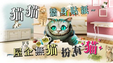 貓貓牆身貼紙~屋企無貓扮有貓