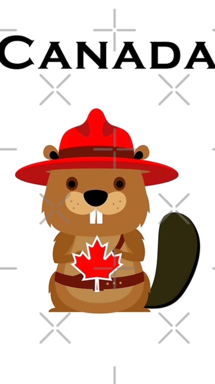 小小咪咪醬の日🇯🇵韓🇰🇷加🇨🇦跨海選物