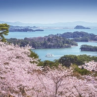 宮城小旅行　探訪松島町3大觀光勝地