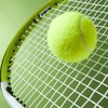 福岡県　🎾硬式テニス　初中級🎾