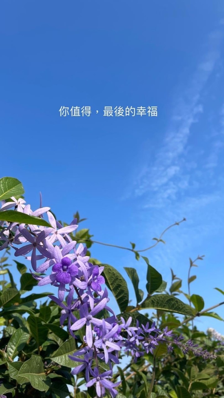 簡單的陪伴