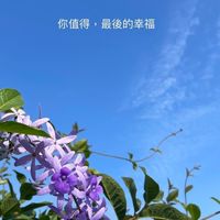 簡單的陪伴