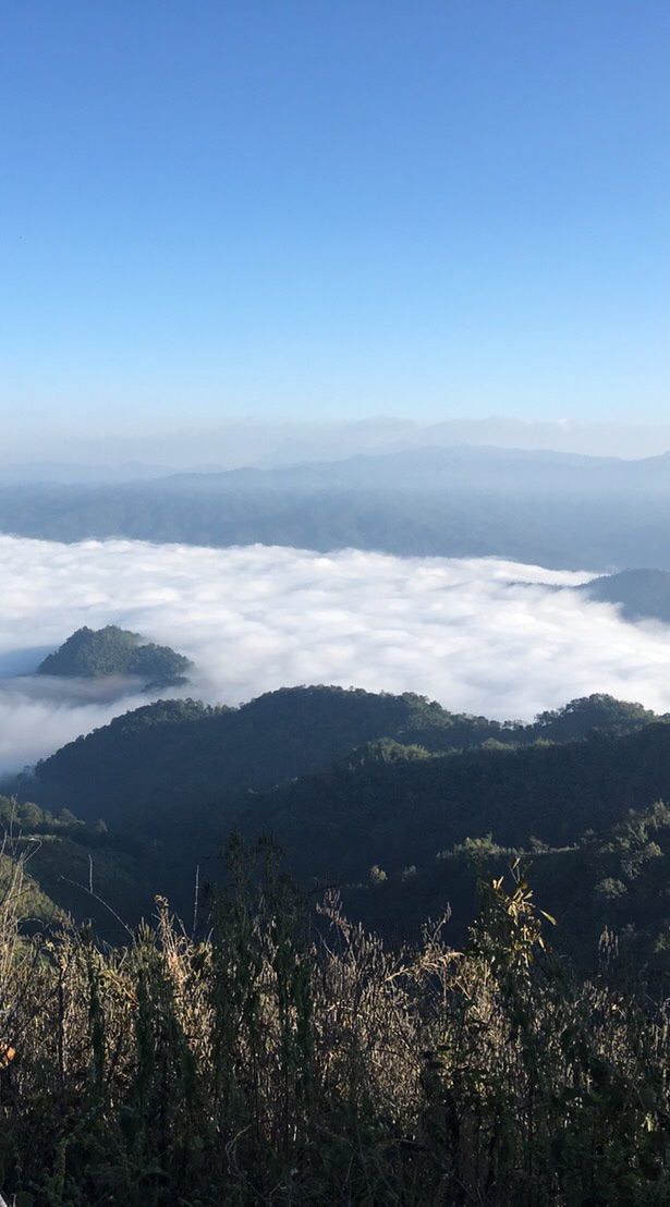Photos Gallery
