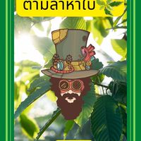 ตามล่าหาใบ🍃