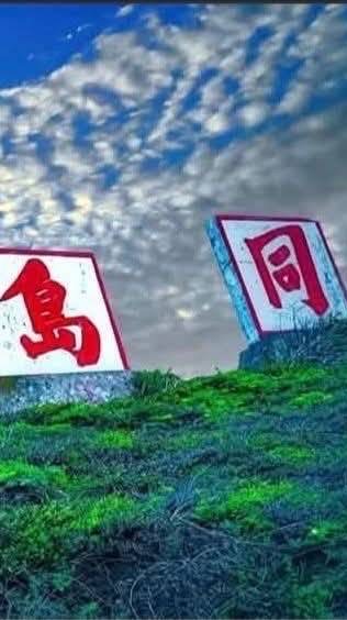 TEAM TAIWAN 守護民主！守護台灣！民進黨後援會